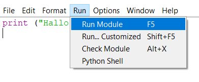 Python run